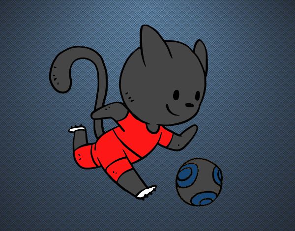 Gato jugando a fútbol