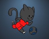 Gato jugando a fútbol