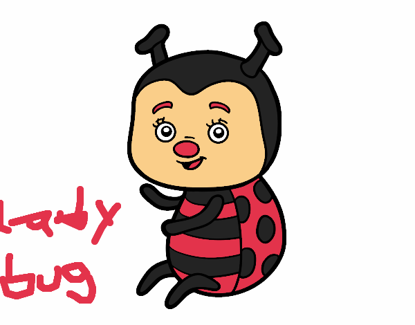 ladybug