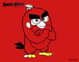 Red de Angry Birds