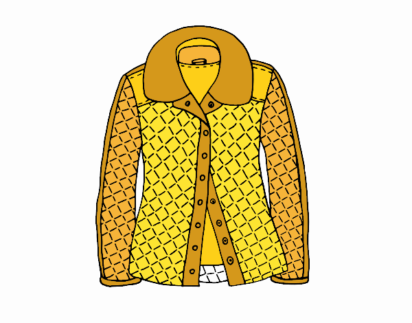  Dibujo de Una chaqueta pintado por en Dibujos.net el día