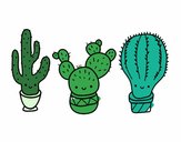 Dibujo 3 mini cactus pintado por Zurami