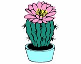 Dibujo Cactus con flor pintado por Zurami