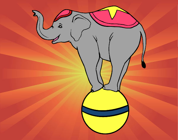 Elefante equilibrista