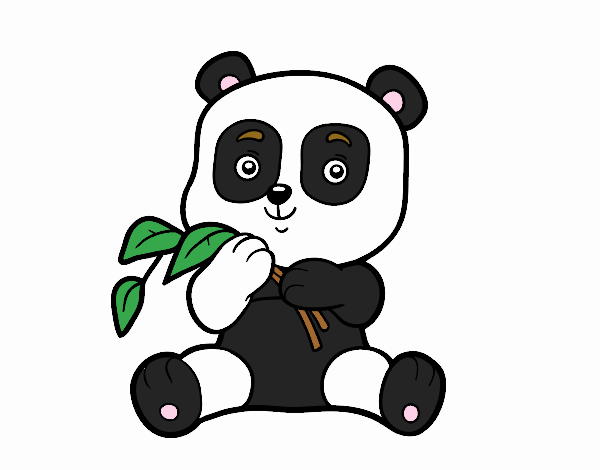 oso panda