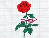 Dibujo Una rosa pintado por Zurami