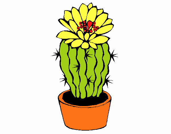 Cactus con flor