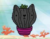 Cactus gato