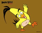 Chuck de Angry Birds