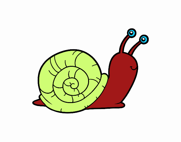 El caracol