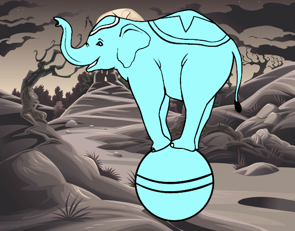 Elefante equilibrista