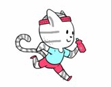 Gato runner