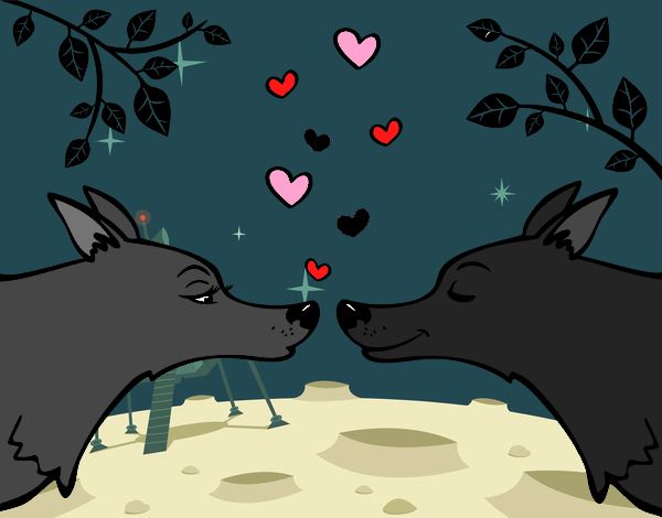 Lobos enamorados