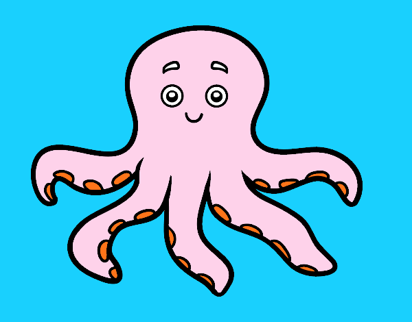 Pulpo infantil