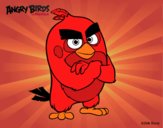 Red de Angry Birds