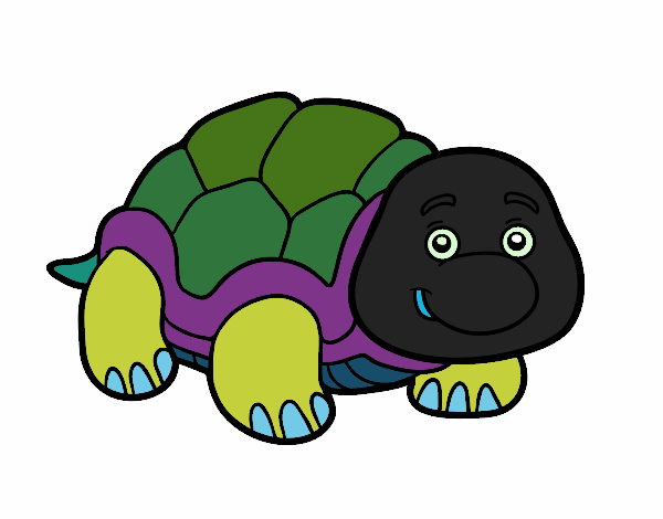 Tortuga de tierra