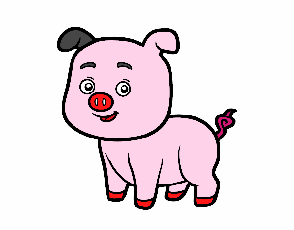 Un cerdito