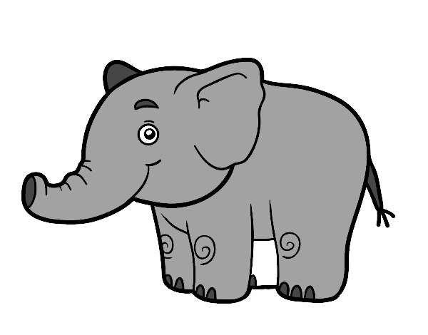 elefante