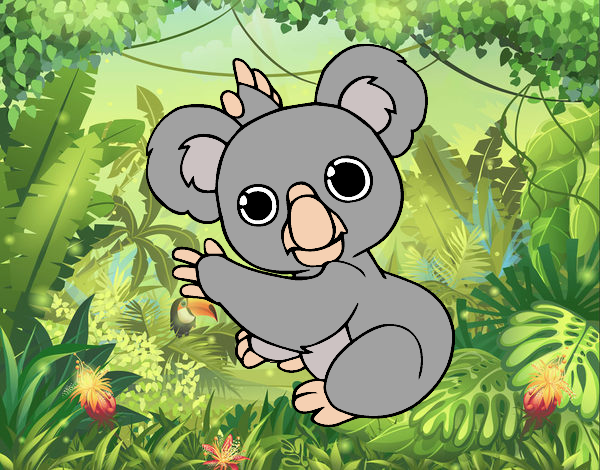 Un Koala