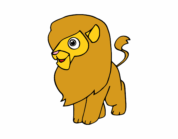 Un león