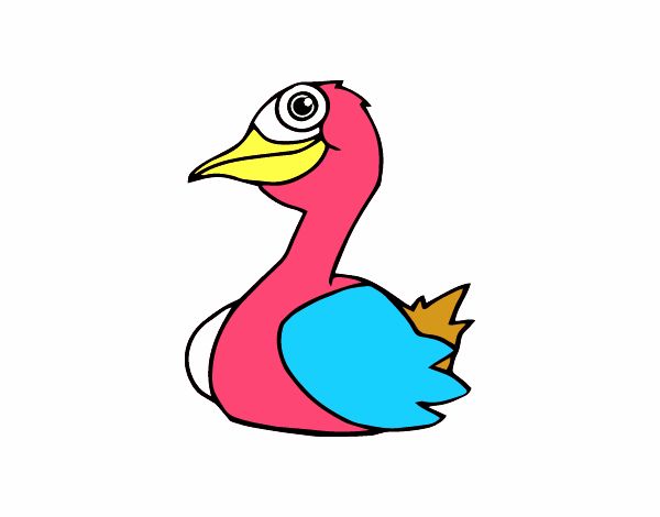 Un pato