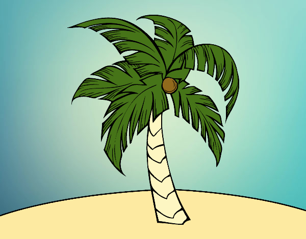 Una palmera