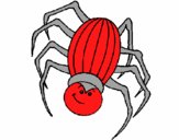 Araña 2