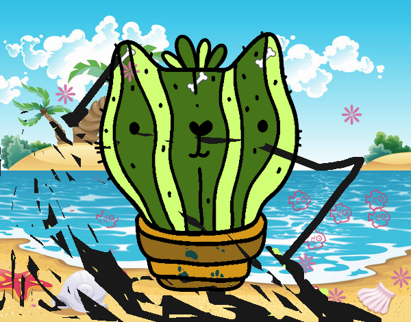 Cactus gato