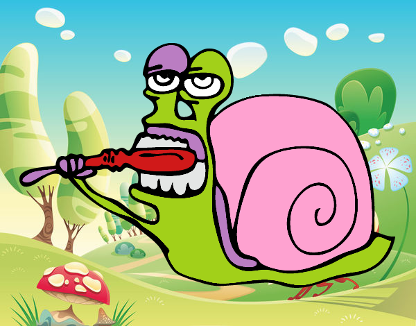 Caracol limpio