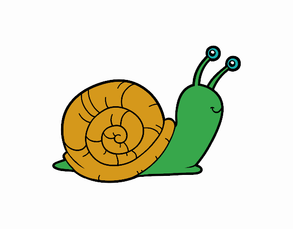 El caracol