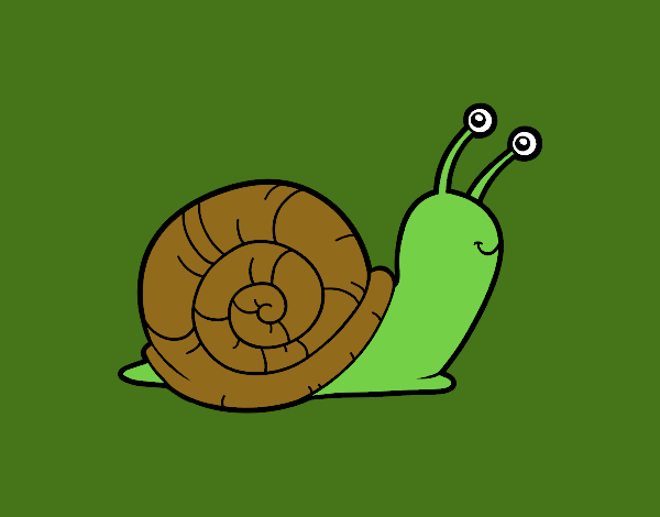 El caracol