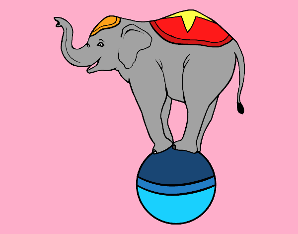 Dibujo Elefante equilibrista pintado por elefant