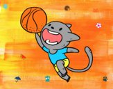 Gato jugando a baloncesto