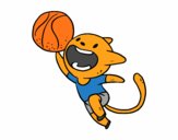 Gato jugando a baloncesto