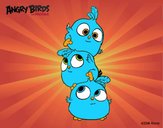 Dibujo Las crias de Angry Birds pintado por nicolesalo
