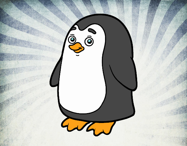 Pingüino antártico