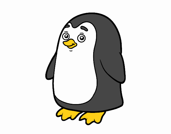 pinguinito