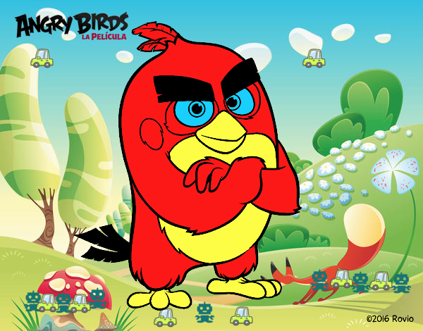 Red de Angry Birds