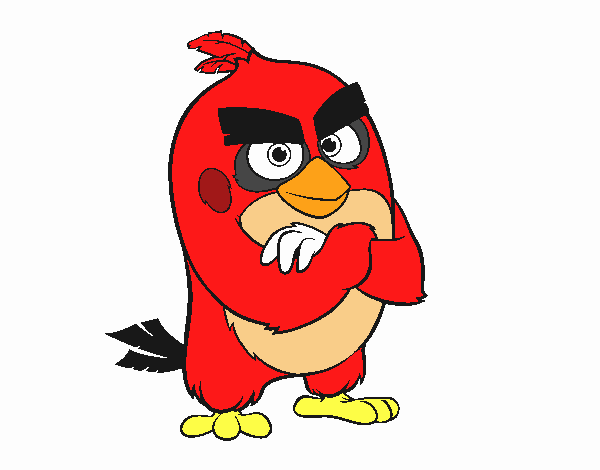 Red de Angry Birds