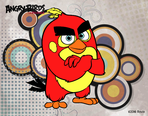 Red de Angry Birds