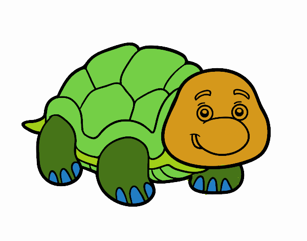 Tortuga de tierra