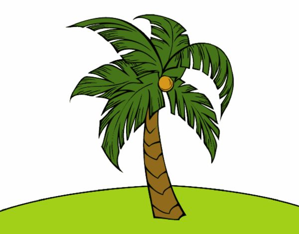 Dibujo Una palmera pintado por KIARA3214