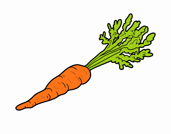 Dibujo Zanahoria ecológica pintado por 001salmi