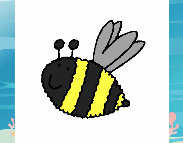 Abeja 4