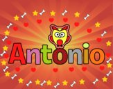 Antonio