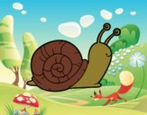 El caracol