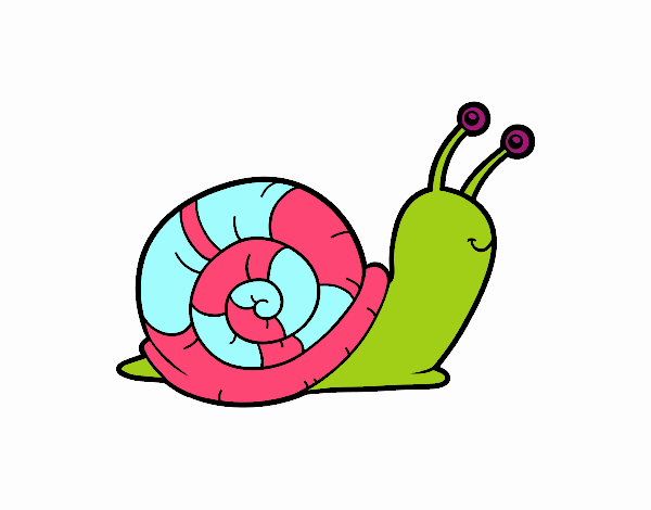 El caracol