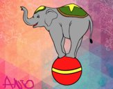 Elefante equilibrista