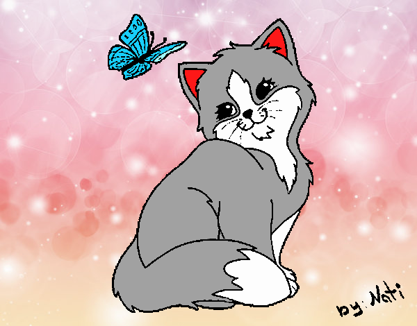 Gatito y mariposa