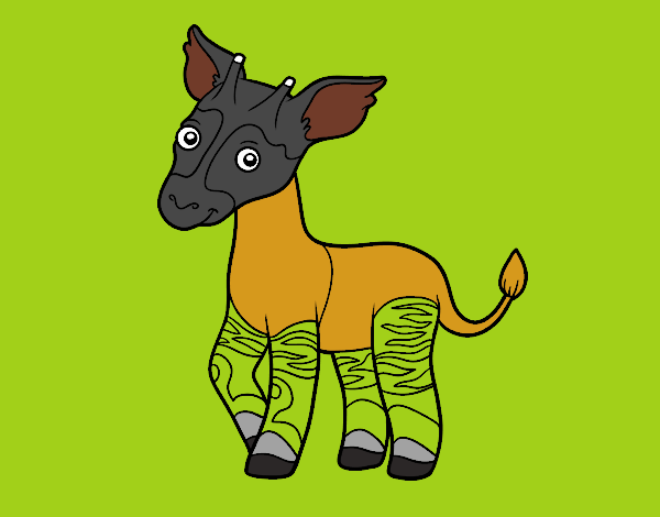 Okapi